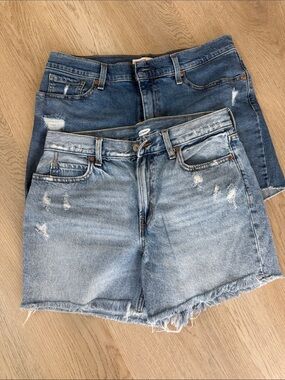 Light and Medium Blue Distressed Denim Shorts Duo